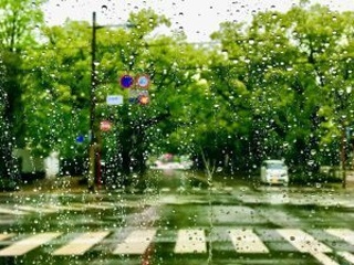 思い出はいつの日も雨の画像