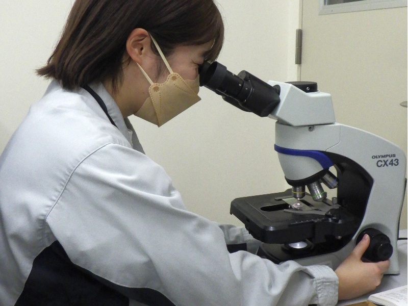③分析試験安全性試験部 安全性試験課の画像