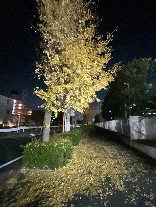 ◇◆早期選考 受付中です！◆◇の画像