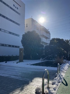 藤沢にも雪が積もりました⛄の画像